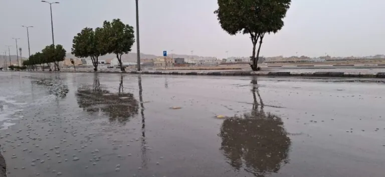 أمطار-متفرقة-على-محافظة-الأحساء