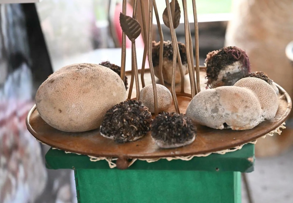 مهرجان-جازان-2026.-تجربة-استثنائية-وفعاليات-متنوعة-تبهر-الزوار