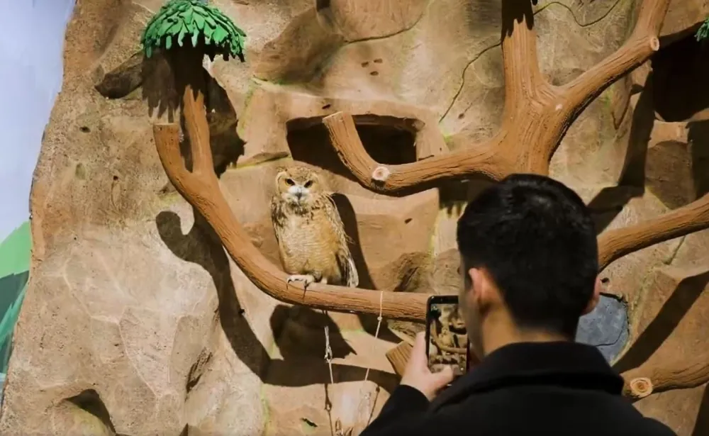 “بيت-بيردز”.-تجربة-تفاعلية-داخل-عالم-الطيور-في-موسم-الرياض