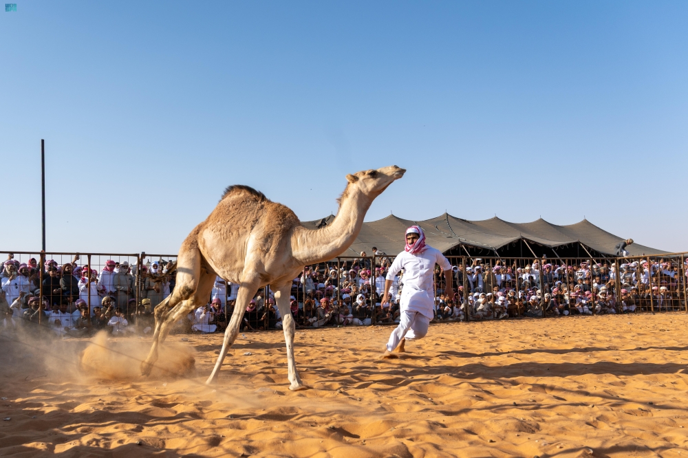 صور|-ألعاب-إلكترونية-ومسابقات-متنوعة-في-مهرجان-شرورة-الشتوي