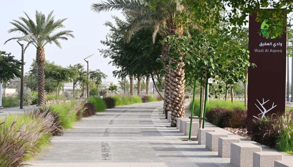 صور-|-مسار-وادي-العقيق.-متعة-المشي-والتنزه-في-المدينة-المنورة