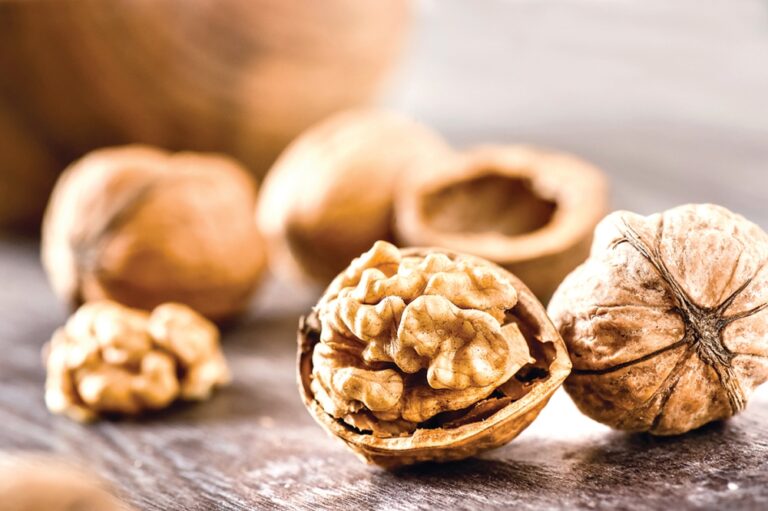 تعرف-على-المفاهيم-الخاطئة-الشائعة-حول-التغذية-الصحية