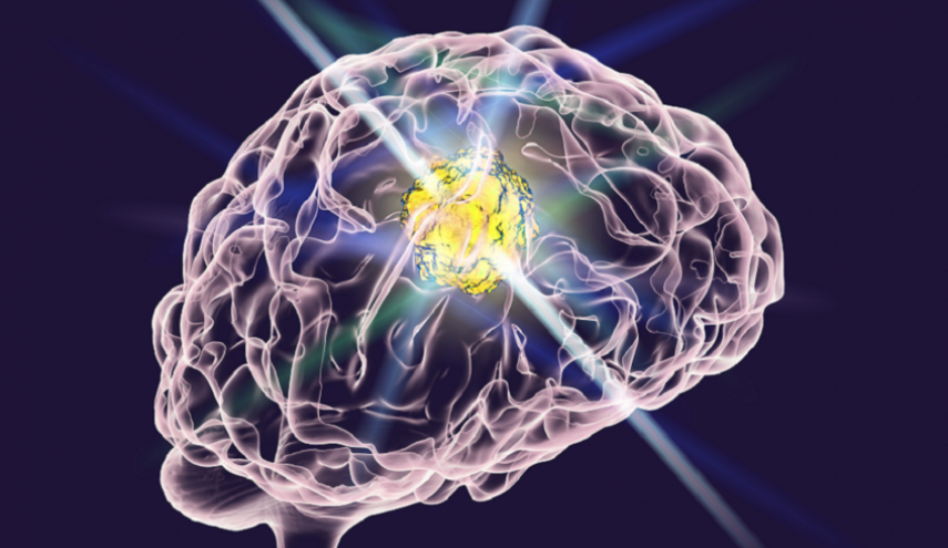 دراسة-حدیثة:-أنشطة-منزلية-تعزز-صحة-الدماغ-وتحسن-الذاكرة