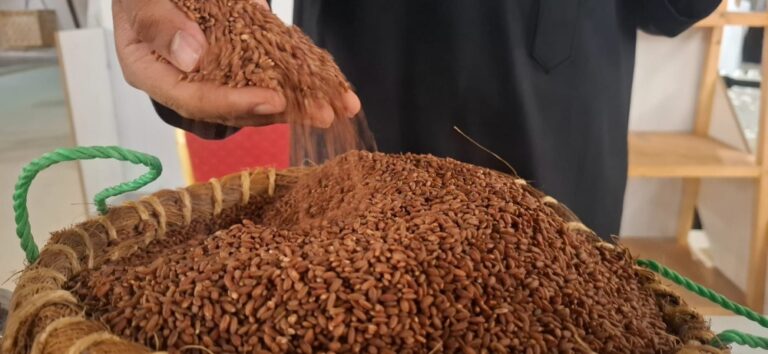 آيس-كريم-وكوكيز-بالرز-الحساوي.-ابتكارات-غذائية-جديدة-تخطف-الأنظار-في-الأحساء