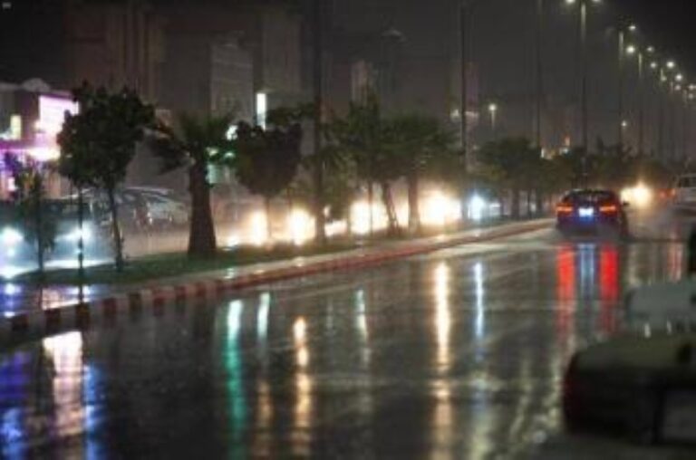 طقس-الشرقية.-أمطار-غزيرة-على-حفر-الباطن-حتى-3-صباحًا