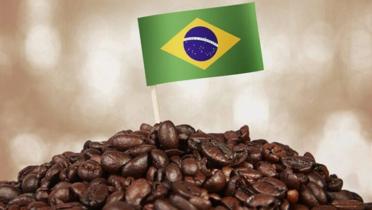 البرازيل-تتوقّع-محصولًا-قياسيًا-من-البن-في-2026
