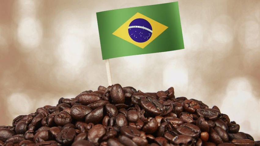 البرازيل-تتوقّع-محصولًا-قياسيًا-من-البن-في-2026