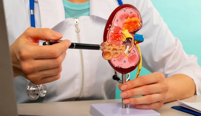 إبتكار-علمي-هام-يغير-مستقبل-زراعة-الكلى