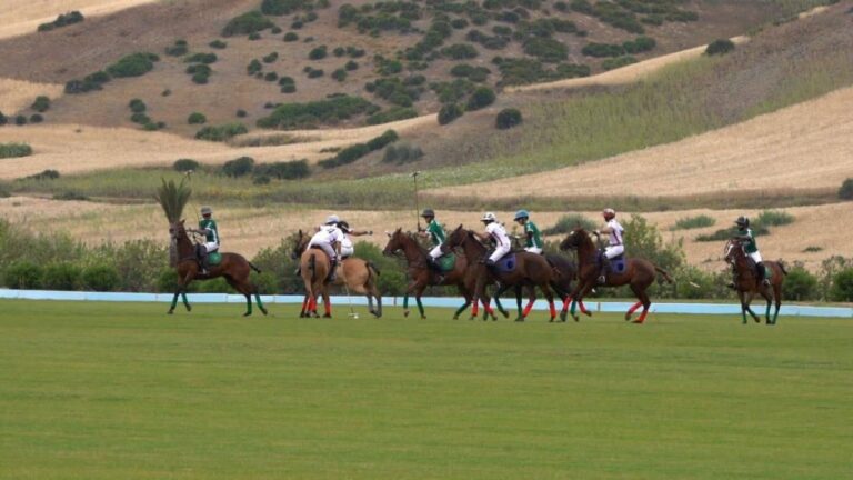 الأولمبية-والبارالمبية-السعودية-تعتمد-دمج-البولو-والفروسية