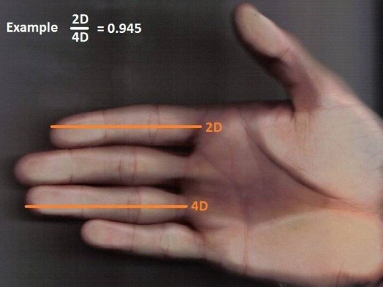 دراسة:-طول-إصبعي-السبابة-والبنصر-لدى-المواليد-مؤشرٌ-على-حجم-الدماغ