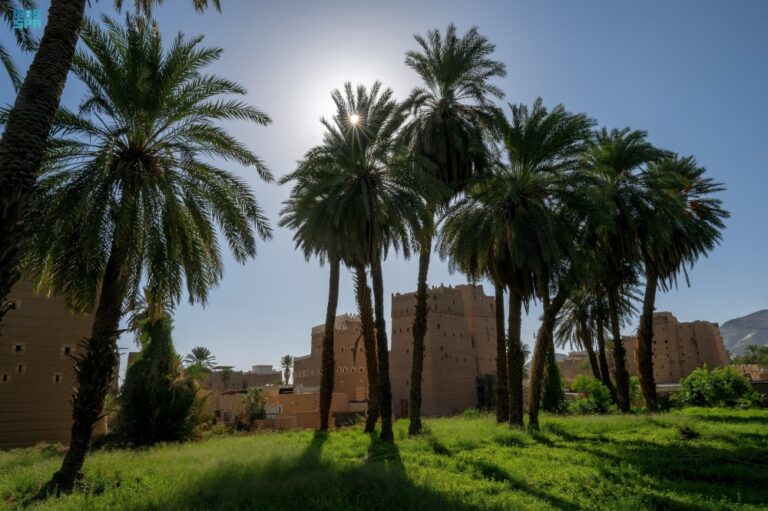 رمضان-في-المملكة.-تمور-“البياض”-و”المواكيل”-رمز-الكرم-بنجران