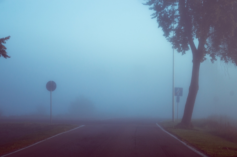 يستمر 7 ساعات.. الأرصاد يحذر بالإنذار الأصفر من ضباب على الشرقية