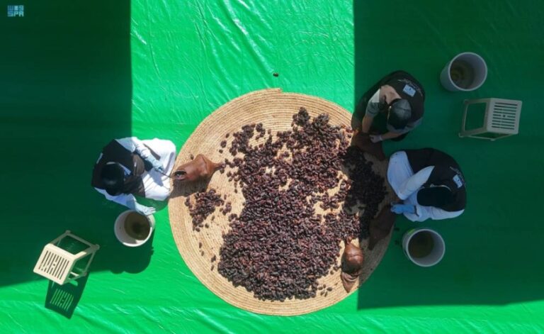 الشنّة-والمجلاد.-وسيلتان-تقليديتان-لحفظ-التمور-في-العُلا