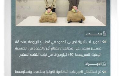 القبض على مخالفين لتهريبهما (40) كيلوجرامًا من القات المخدر