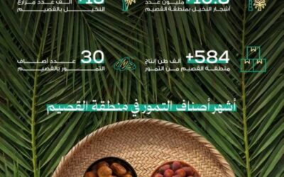 بنحو 584 ألف طن و30 صنفاً.. تمور القصيم تُزيّن موائد رمضان