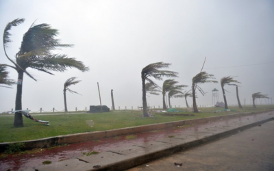 حتى الثامنة مساءً.. رياح نشطة وأتربة مثارة على المنطقة الشرقية