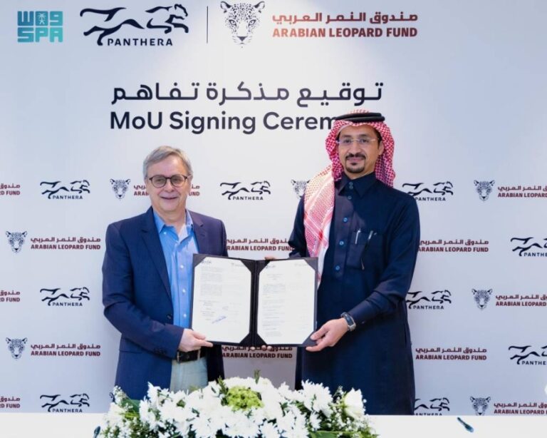 شراكة-إستراتيجية-لتعزيز-جهود-صون-النمر-العربي