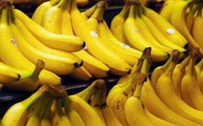 أرتفاع أسعار العنب والموز 100% في الأسواق المحلية