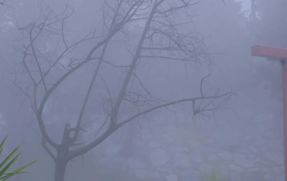 صور | الباحة تحت الضباب والأمطار.. مشاهد طبيعية ساحرة تجذب الزوار