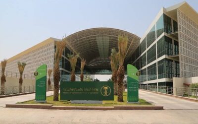 إعداد إستراتيجية شاملة للتعامل مع مادة الأسبستوس