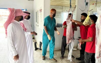 بيئة العاصمة المقدسة والعرضيات تكثفان الجولات الرقابية استعدادًا للعيد