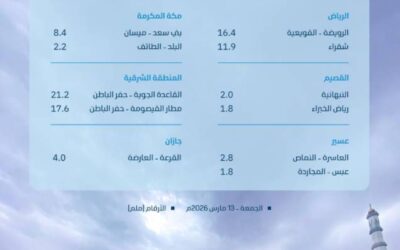 أمطار متفرقة على 8 مناطق بالمملكة.. وحفر الباطن تسجل أعلى كمية بـ 21.2 ملم