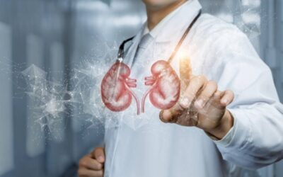 إيقاف التدخين وتقليل المسكنات.. 8 قواعد ذهبية لحماية الكلى