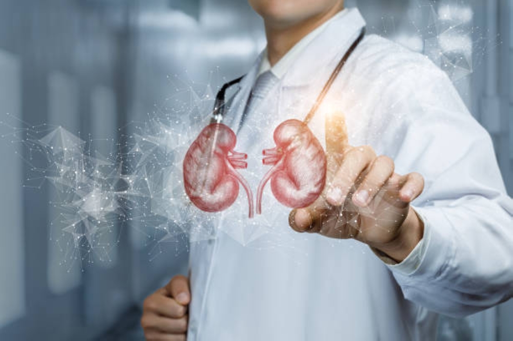 إيقاف التدخين وتقليل المسكنات.. 8 قواعد ذهبية لحماية الكلى