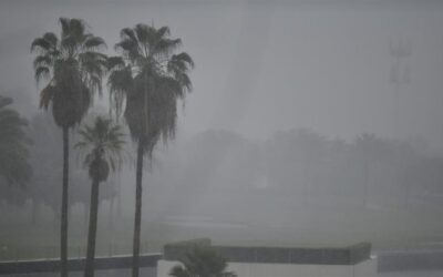 طقس الصباح الباكر.. ضباب خفيف وأمطار متوسطة على الشرقية