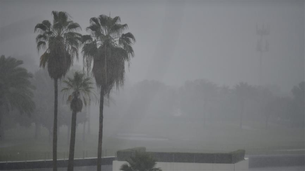 طقس الصباح الباكر.. ضباب خفيف وأمطار متوسطة على الشرقية