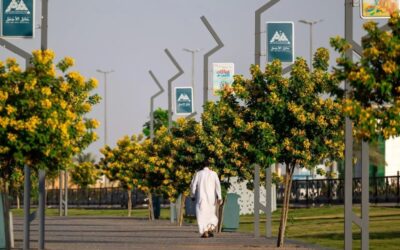 حائل تكثف أعمال التجميل والتشجير استعدادًا لاستقبال عيد الفطر