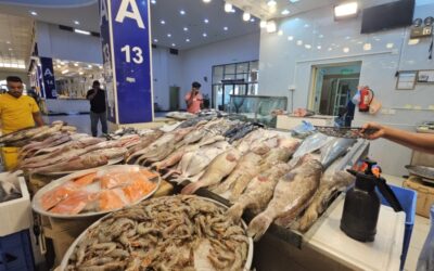 استقرار إمدادات الأسماك في الشرقية.. وارتفاع الأسعار 5% بنهاية رمضان