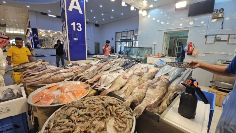 استقرار-إمدادات-الأسماك-في-الشرقية.-وارتفاع-الأسعار-5%-بنهاية-رمضان