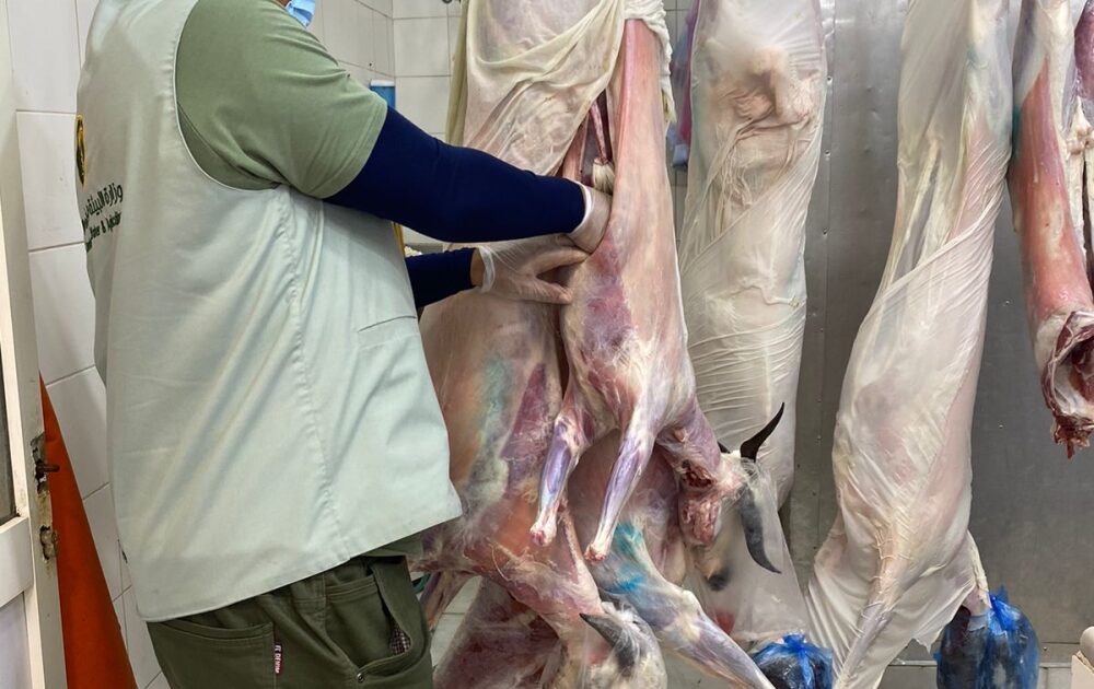 آليات دقيقة وتقنيات حديثة لضبط جودة اللحوم في سوق الدمام المركزي