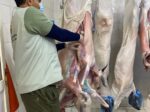 آليات دقيقة وتقنيات حديثة لضبط جودة اللحوم في سوق الدمام المركزي
