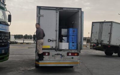 فيديو| «أسماك الشرقية» تغذي موائد الخليج.. ضخ 80 طنًا يوميًا لتعزيز الأمن الغذائي