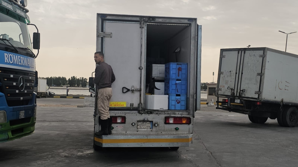 فيديو| «أسماك الشرقية» تغذي موائد الخليج.. ضخ 80 طنًا يوميًا لتعزيز الأمن الغذائي