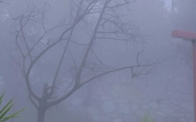 طقس الصباح الباكر.. ضباب وشبه انعدام في الرؤية على أجزاء من الشرقية