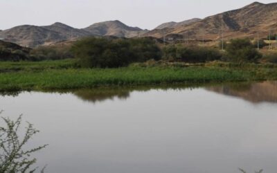 صور| الأجواء الماطرة تزيّن عيد الفطر في عسير