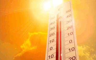 دراسة: ارتفاع الحرارة عالميًا يزيد الخمول ويهدد بمئات آلاف الوفيات المبكّرة سنويًا