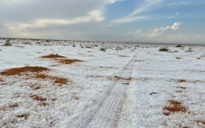 في مشهد جذاب.. سهول الجوف تكتسي بالأبيض عقب هطول زخات البرد