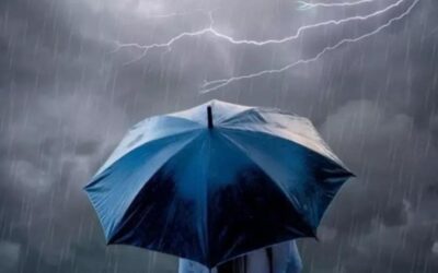 طقس الصباح الباكر.. أمطار متوسطة وضباب على أجزاء من الشرقية