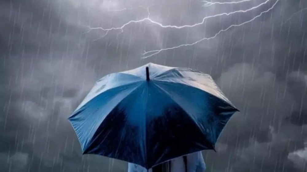 طقس الصباح الباكر.. أمطار متوسطة وضباب على أجزاء من الشرقية