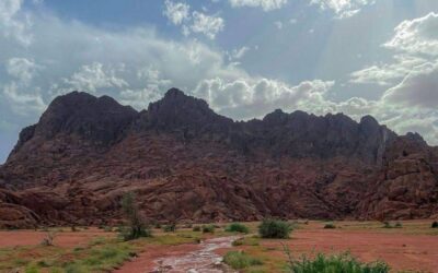 حائل تحت المطر.. أجواء استثنائية .. تدفع العائلات للمنتزهات البرية