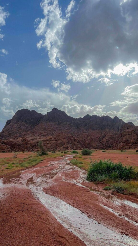 حائل تحت المطر.. أجواء استثنائية .. تدفع العائلات للمنتزهات البرية