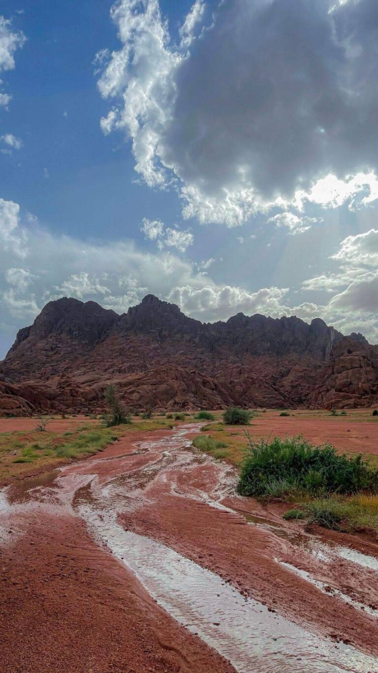 حائل-تحت-المطر-أجواء-استثنائية.-تدفع-العائلات-للمنتزهات-البرية