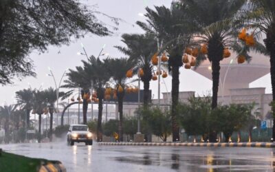 طقس الشرقية.. أمطار وضباب على هذه المحافظات حتى 9 صباحا