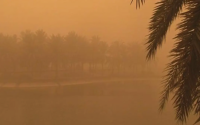 الطقس في الشرقية.. تنبيه من عوالق ترابية على 7 محافظات