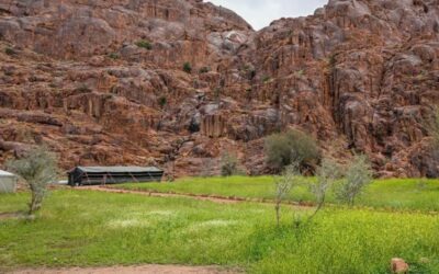 الطلعات البرية بحائل.. إقبال على المخيمات في أجواء ربيعية مميزة