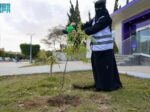 مبادرة تستهدف زراعة 100 ألف شجرة بالباحة
